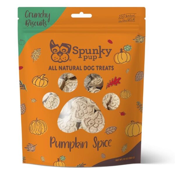 Spunky pup Pumpkin Spice
